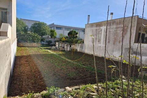 Helårsgrund i Martano, Lecce, Martano - € 61.000 | Ref: SE012 - foto 7